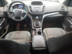 FORD ESCAPE SE photo