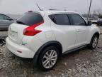 Lot #3006721356 2013 NISSAN JUKE S