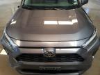 Lot #3024146821 2024 TOYOTA RAV4 XLE