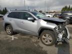 Lot #3041009430 2023 TOYOTA RAV4 XLE