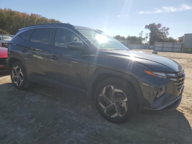 Vin: 5nmjfcae8ph259733, lot: 80124744, hyundai tucson sel 20234
