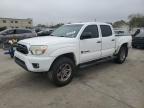 TOYOTA TACOMA DOU photo