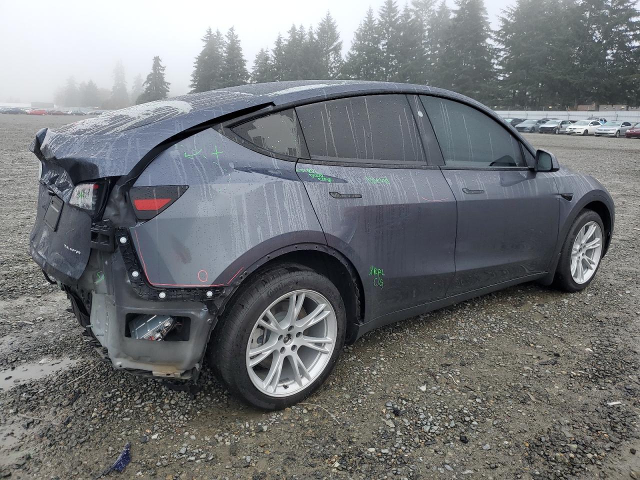 Lot #2986948996 2023 TESLA MODEL Y