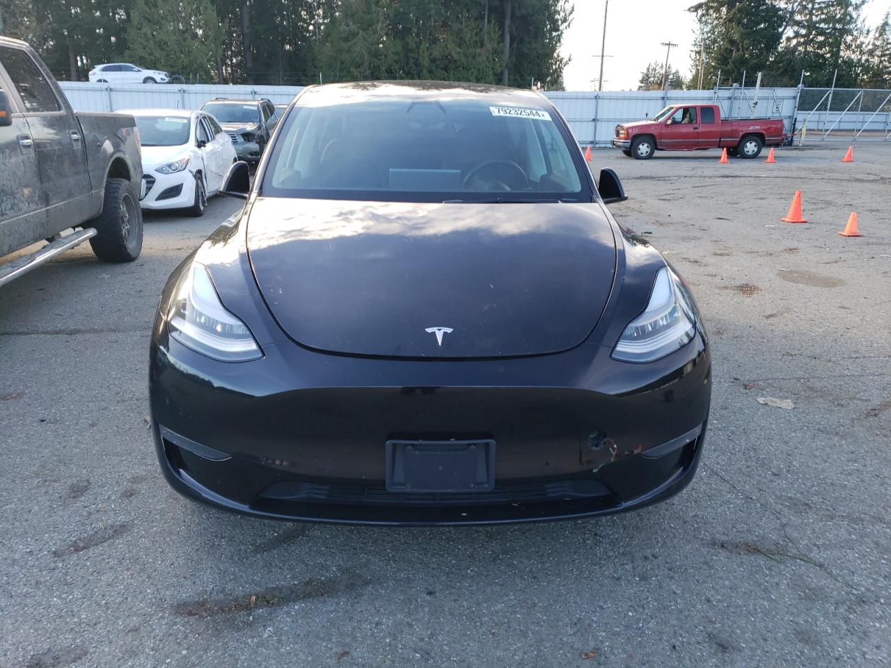 Lot #2989373703 2021 TESLA MODEL Y