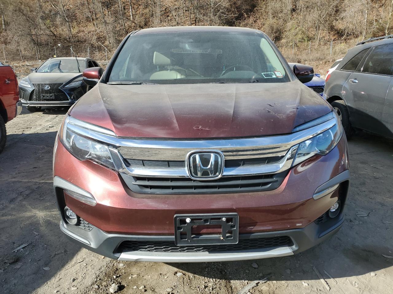 Lot #2991391857 2021 HONDA PILOT EXL