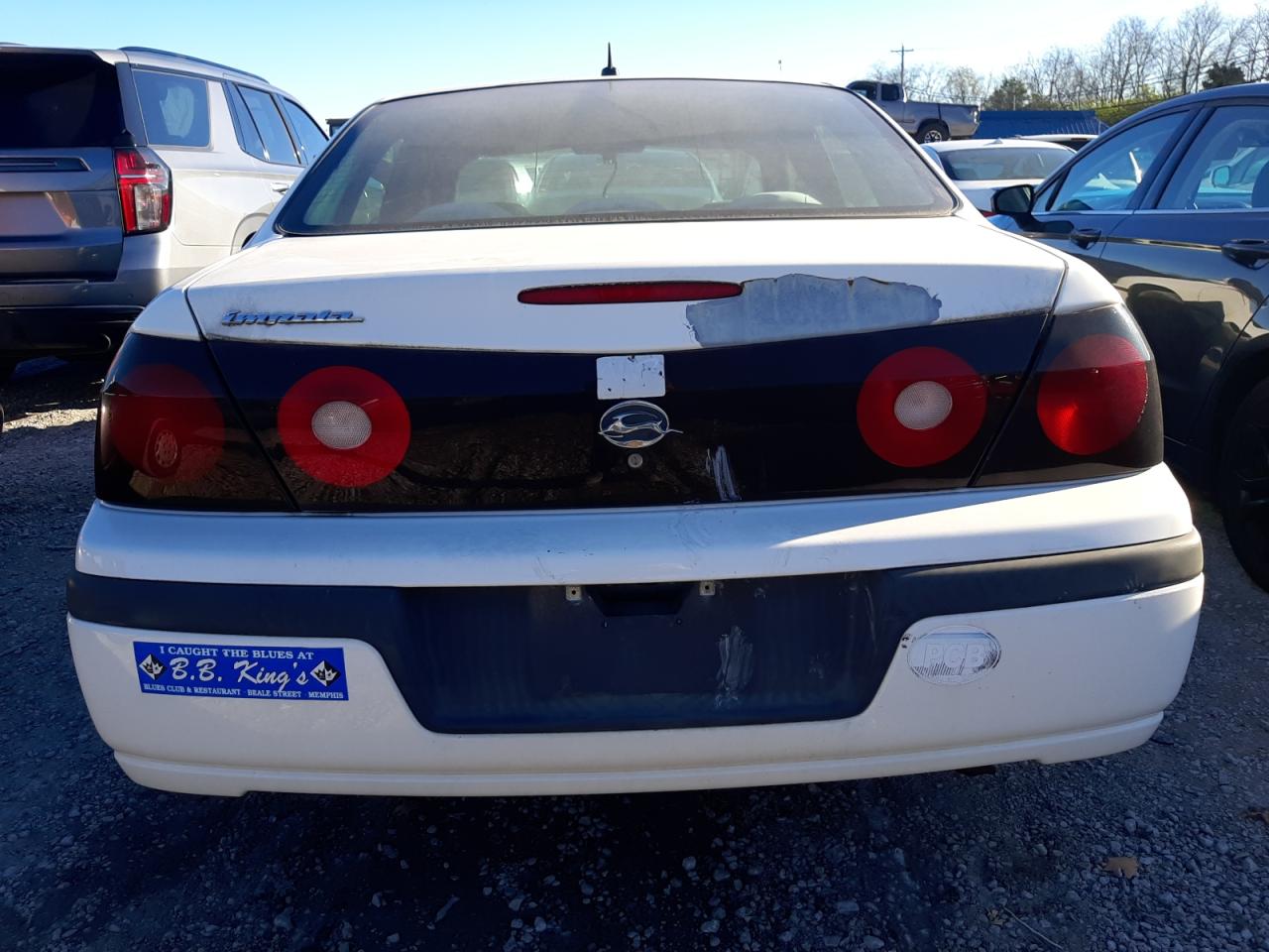 Lot #2989025524 2005 CHEVROLET IMPALA