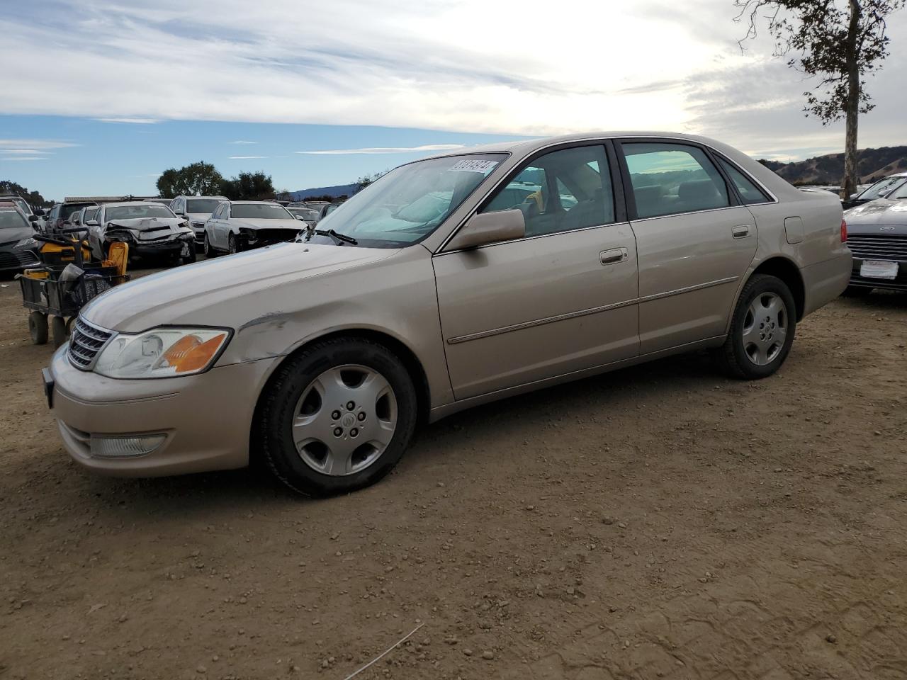 Lot #2996121490 2004 TOYOTA AVALON XL