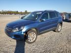 VOLKSWAGEN TIGUAN WOL photo