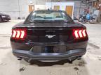 FORD MUSTANG photo