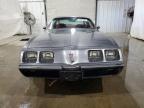 Lot #3024365524 1981 PONTIAC FIREBIRD