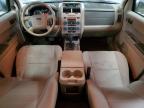 Lot #3024398542 2011 FORD ESCAPE XLT