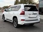 LEXUS GX 460 photo