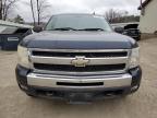 Lot #2996116839 2009 CHEVROLET SILVERADO