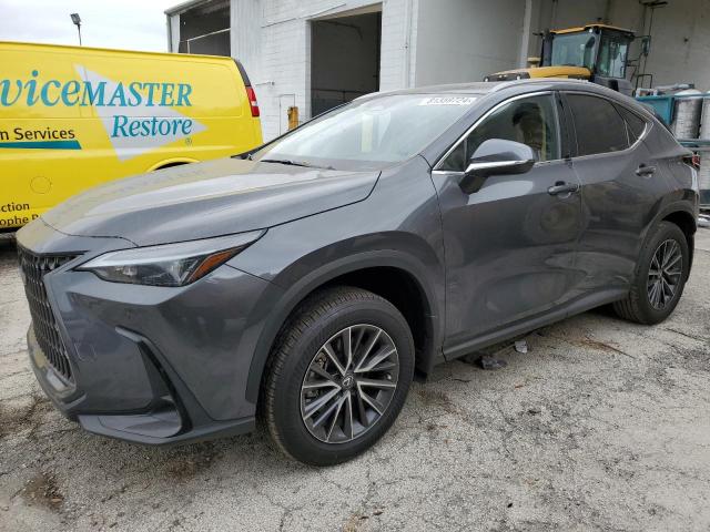 2024 LEXUS NX 250 PRE