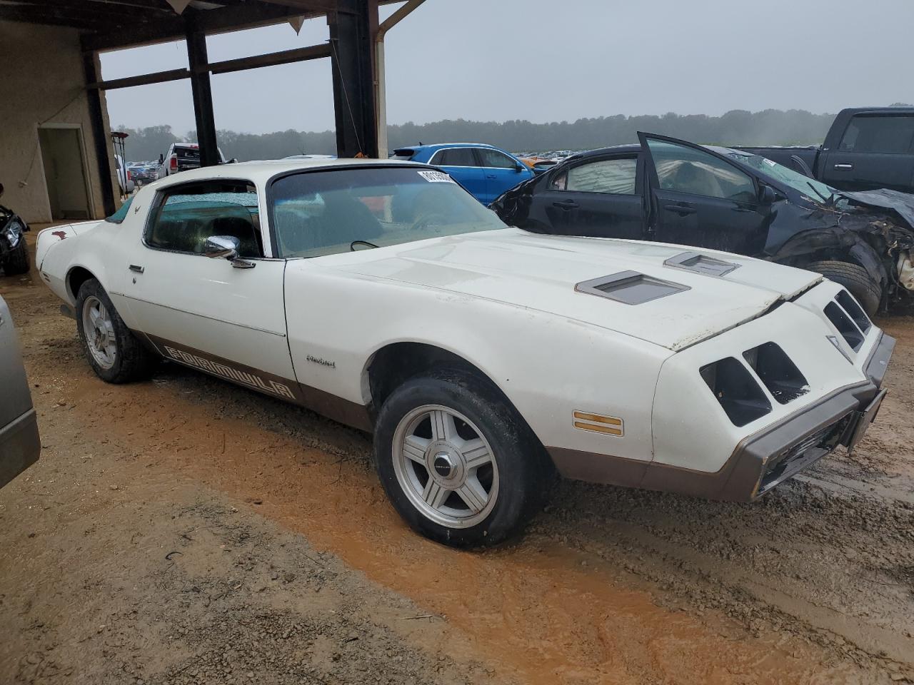 Lot #2991431875 1979 PONTIAC FIREBIRD