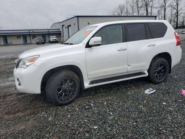 LEXUS GX 460 PRE 2011 white  gas JTJJM7FX6B5030614 photo #1