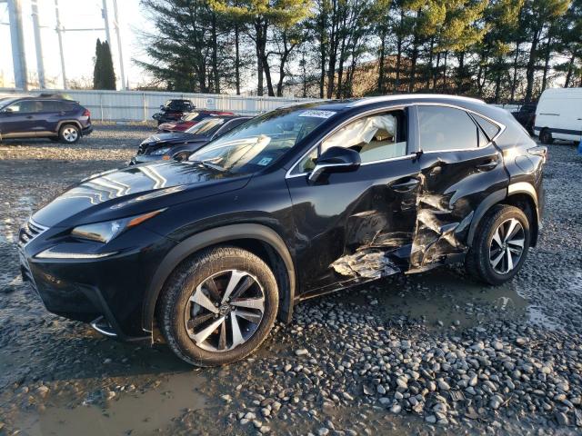 2021 LEXUS NX 300 BAS #3024680648