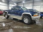 Lot #3006676405 2002 DODGE DAKOTA SLT