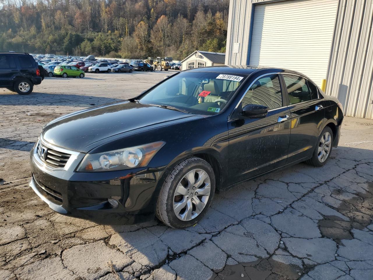 Lot #2972378471 2009 HONDA ACCORD EXL