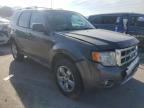 Lot #3023951242 2012 FORD ESCAPE LIM