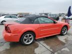 Lot #3023691892 2000 FORD MUSTANG