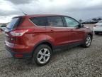 Lot #2962825182 2014 FORD ESCAPE SE