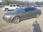 Lot #3023700888 2010 CHEVROLET MALIBU 1LT