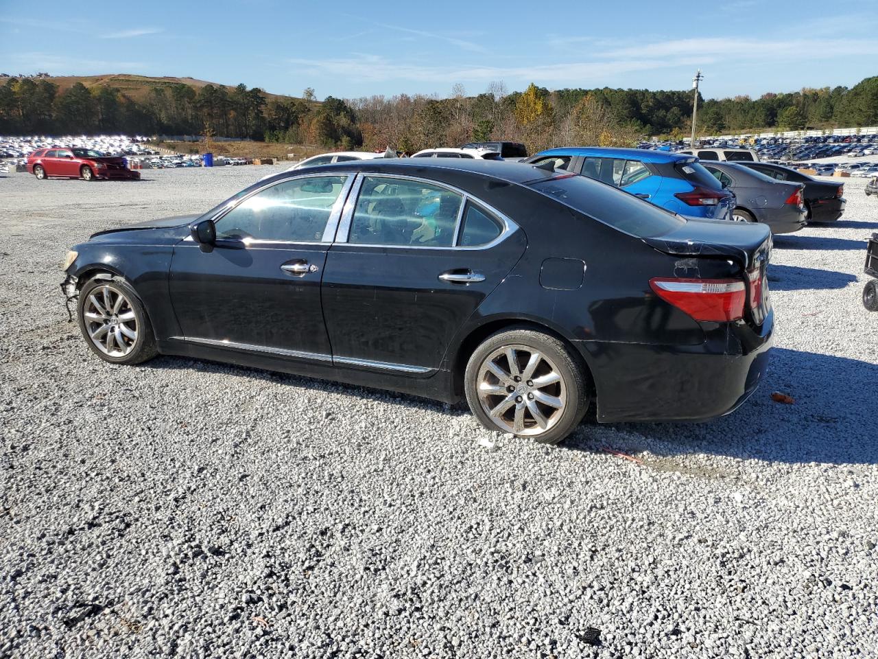 Lot #3048383733 2007 LEXUS LS 460