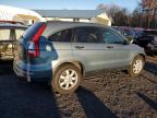 HONDA CR-V SE photo