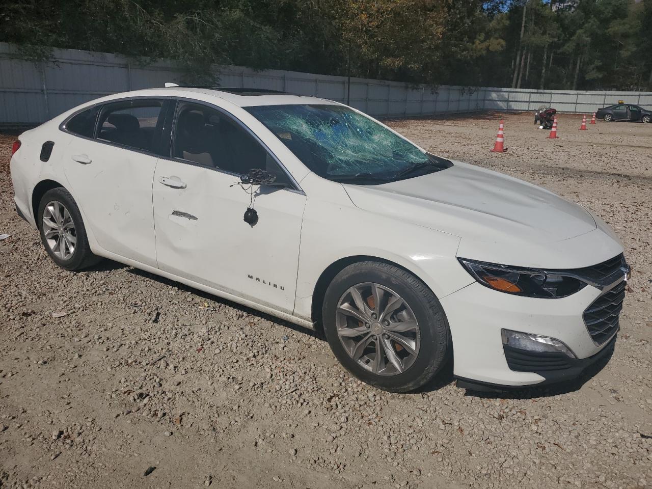 Lot #3022527074 2019 CHEVROLET MALIBU LT