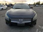 Lot #3029849256 2009 NISSAN MAXIMA S