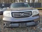 Lot #3024370532 2015 HONDA PILOT EXL