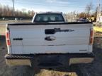 Lot #3023917203 2011 FORD F150