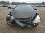 Lot #3025041185 2004 LEXUS ES 330