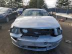 Lot #3006905609 2005 FORD MUSTANG GT