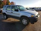 Lot #3022976092 2005 FORD ESCAPE XLS