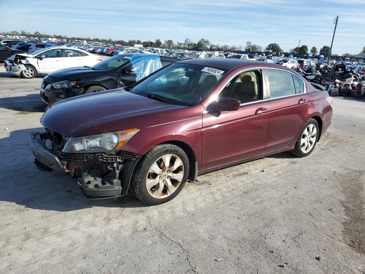 Lot #3019559752 2010 HONDA ACCORD EXL