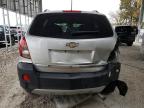 Lot #3024896362 2013 CHEVROLET CAPTIVA LS