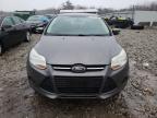 Lot #3004230010 2014 FORD FOCUS SE