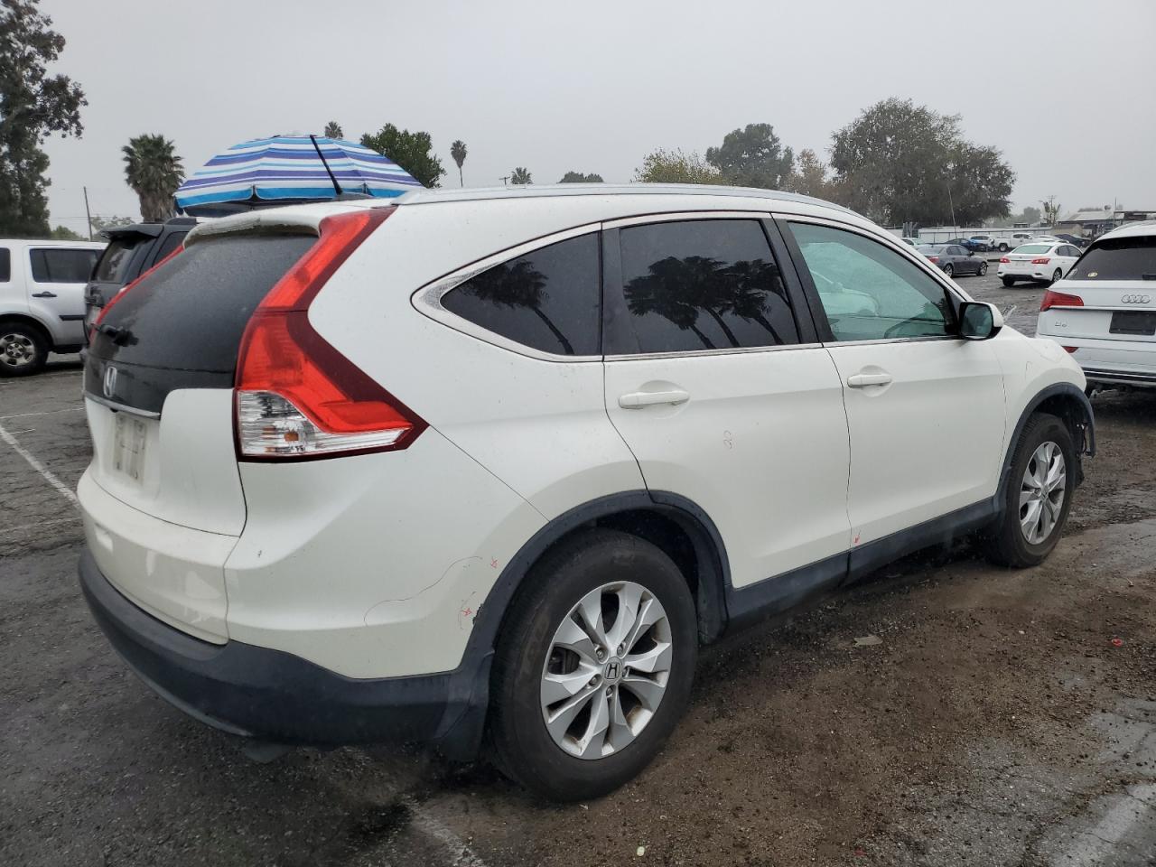 Lot #3024845437 2014 HONDA CR-V EXL