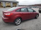 FORD FOCUS SE photo