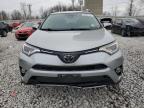 Lot #3024529391 2017 TOYOTA RAV4 XLE