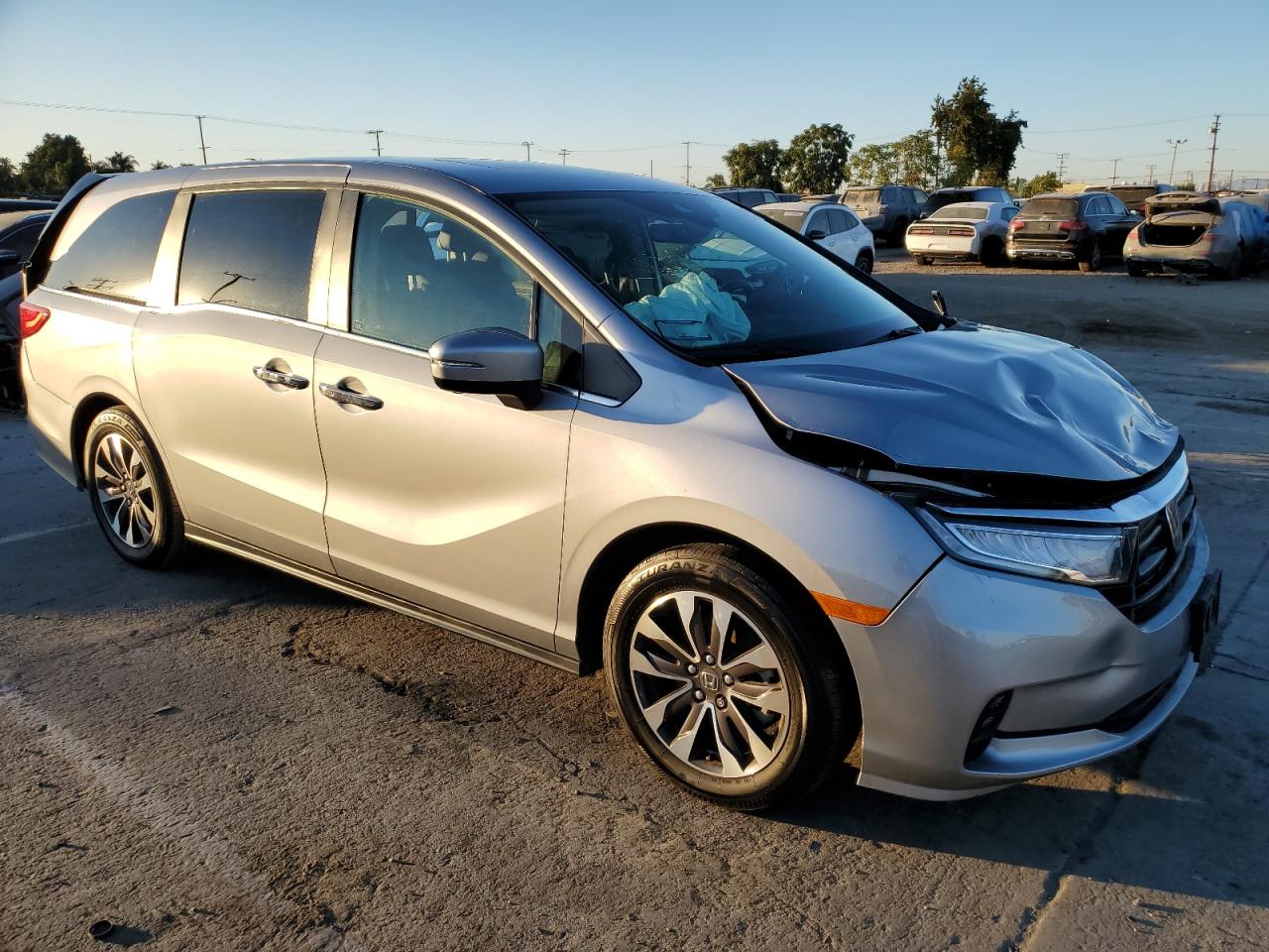 Lot #2969665289 2024 HONDA ODYSSEY EX