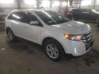 Lot #3023158203 2013 FORD EDGE SEL