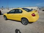 Lot #3023626253 2003 DODGE NEON SXT