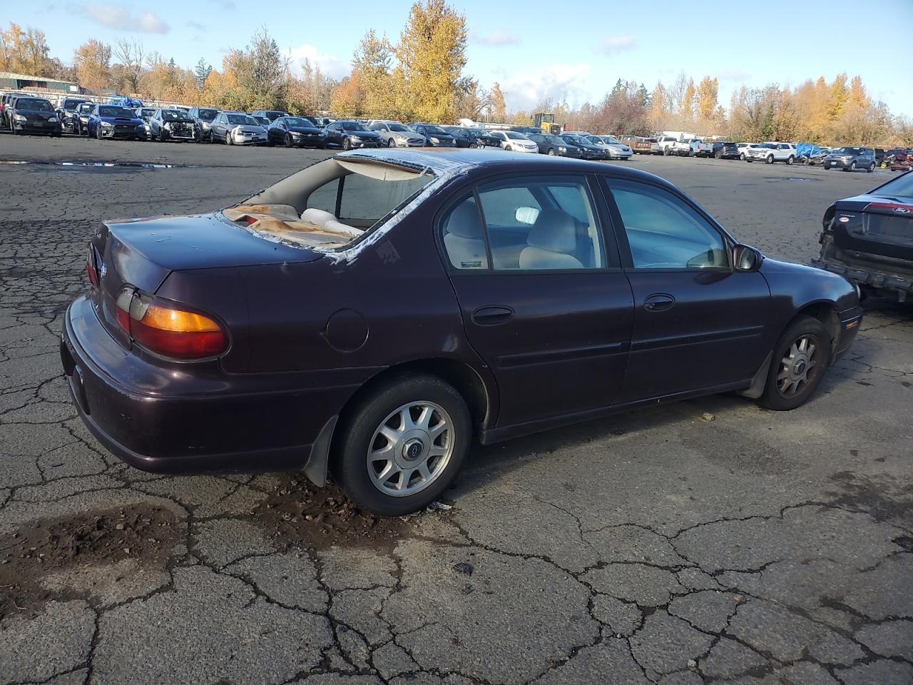 Lot #3029667073 1998 CHEVROLET MALIBU LS