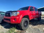 TOYOTA TACOMA DOU photo