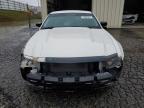 Lot #3024026250 2011 FORD MUSTANG