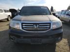 HONDA PILOT TOUR снимка