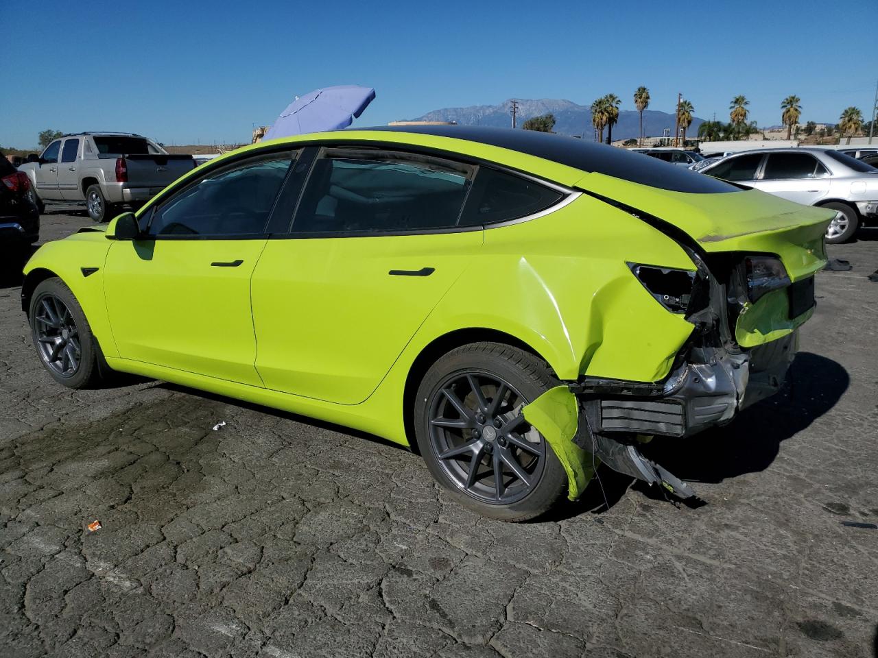 Lot #3026985795 2022 TESLA MODEL 3